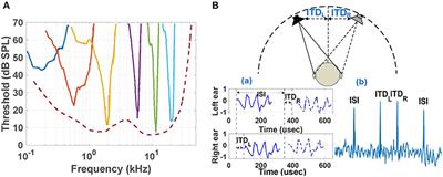 Bio-Inspired Radio-Frequency Source Localization Based on Cochlear Cross-Correlograms